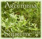 Artemisia Supreme