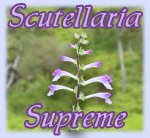 Scutellaria Supreme