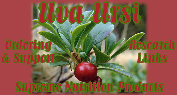 Uva Ursi